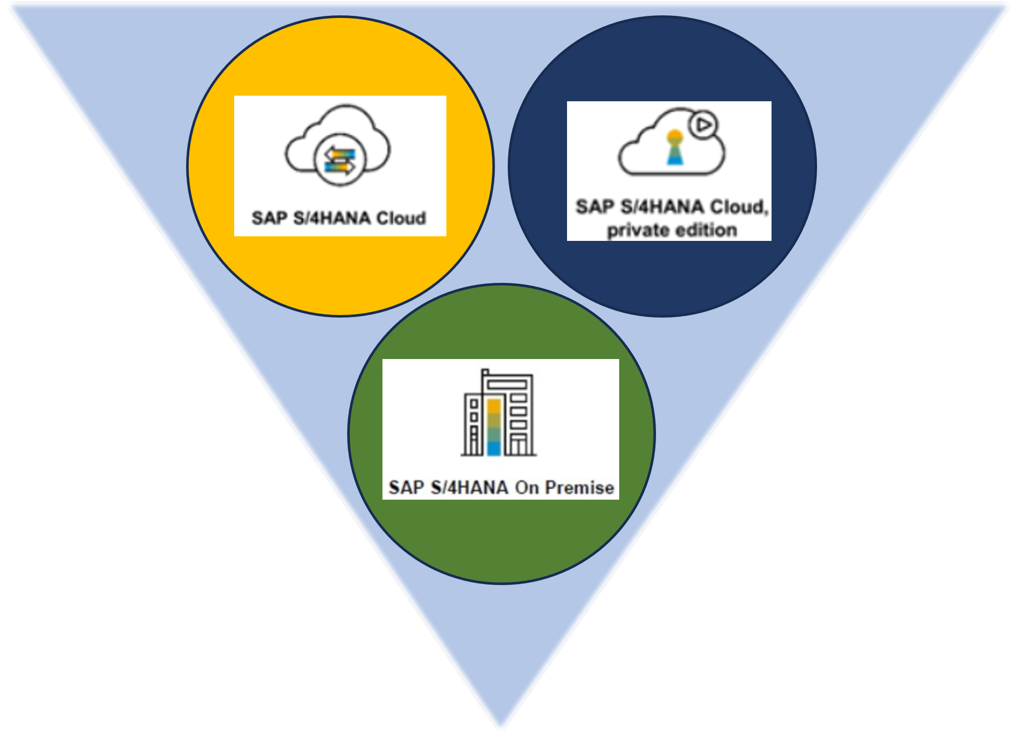 SAP S4HANA Deployment Options - Simpli5 Technologies